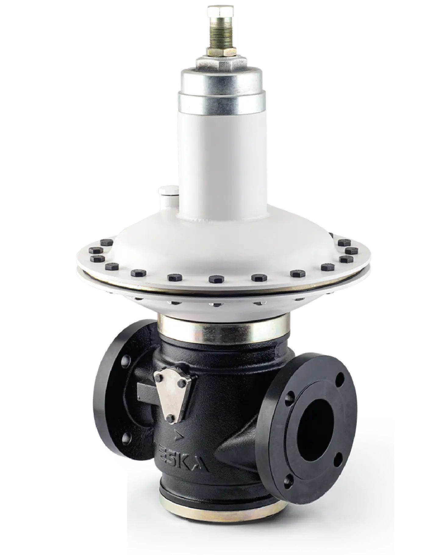 Direct Acting Gaz Basınç Regülatörleri