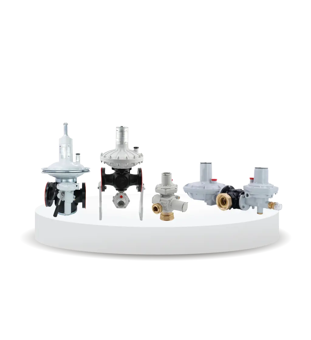 Direct Acting Gaz Basınç Regülatörleri