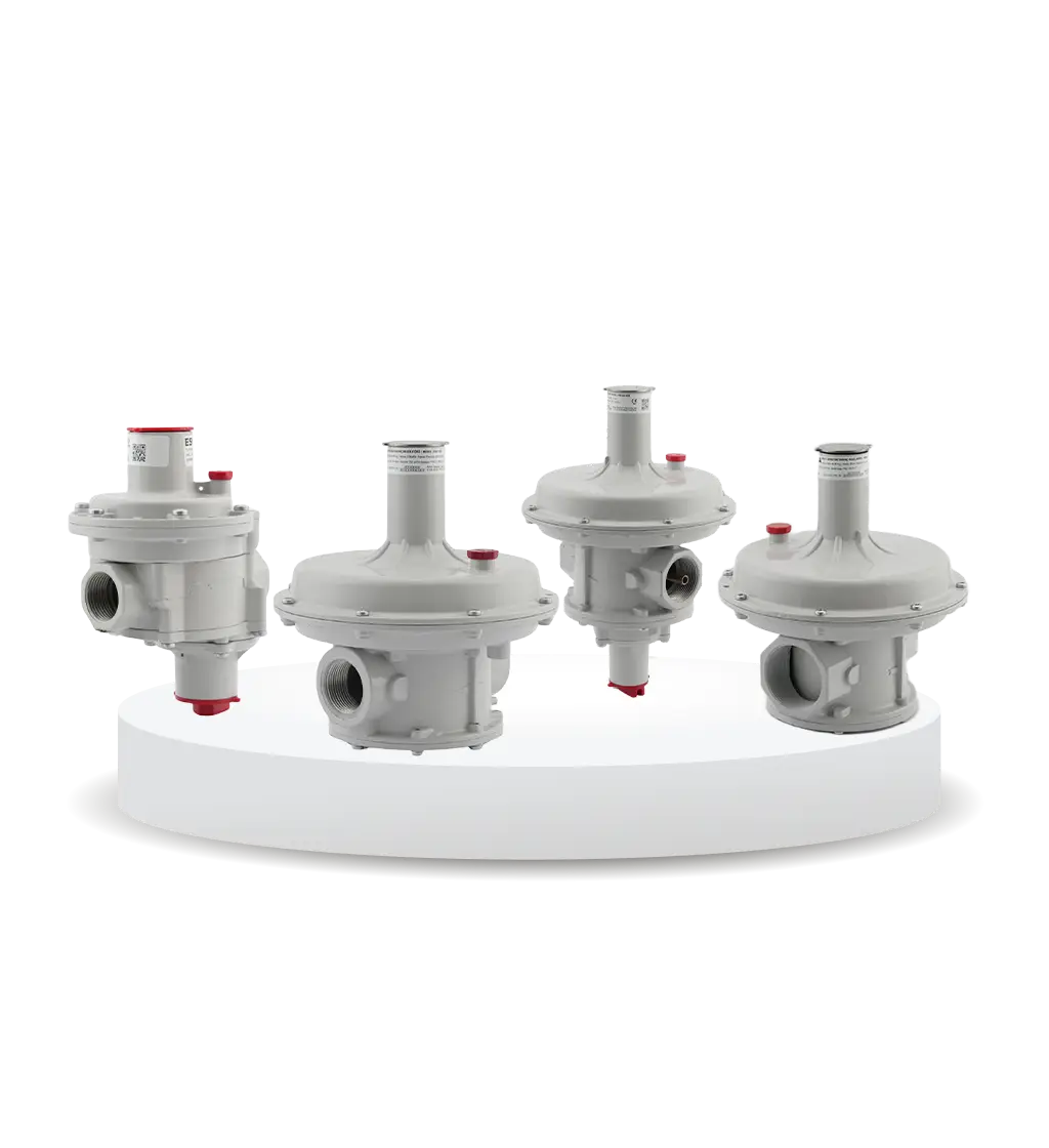 Tek Kademeli Gaz Basınç Regülatörleri